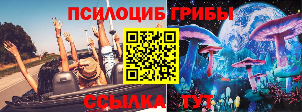 Псилоцибиновые грибы мицелий Курчатов