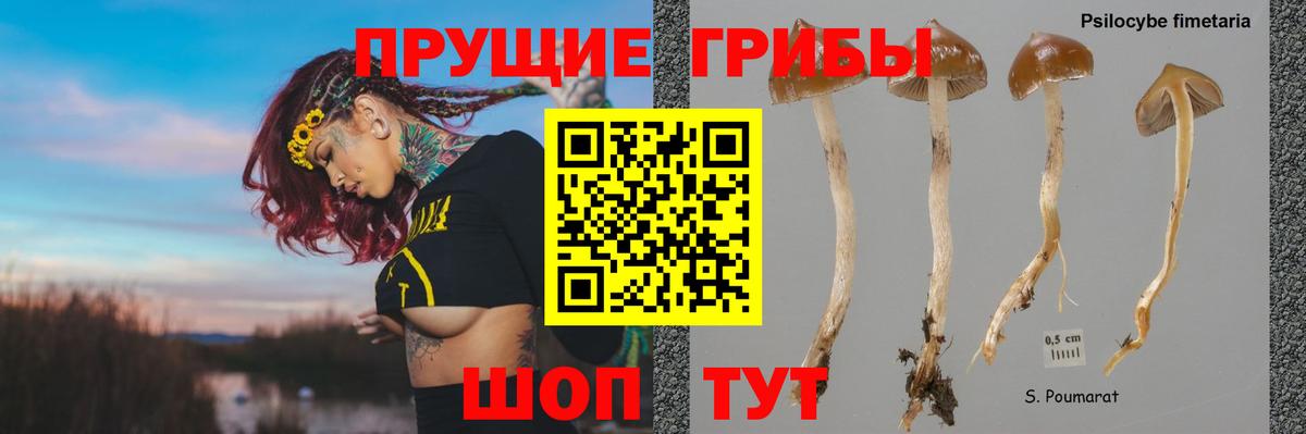 Галлюциногенные грибы MAGIC MUSHROOMS  Вход с VPN  Курчатов 